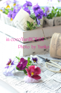 写真１