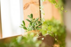 20140716_mizuiro_04